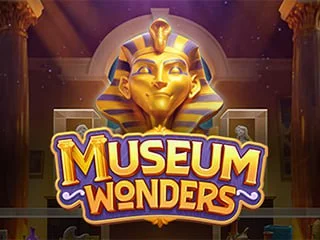 Museum Wonders